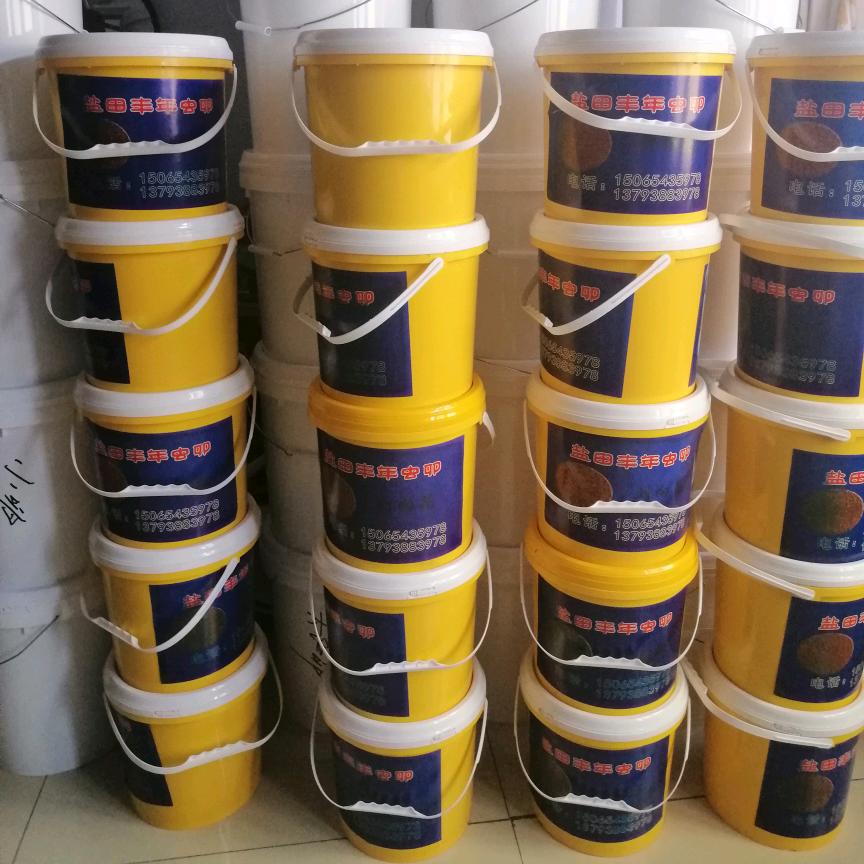 龙泽丰年虫卵～刘向花