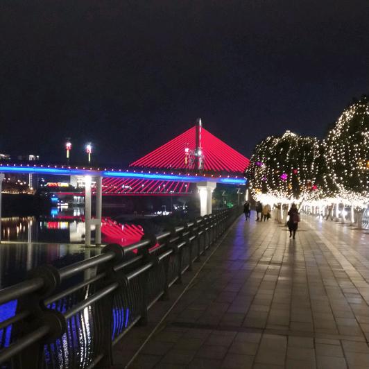 ┏━@淡然🍃🍉.•*¨*•.