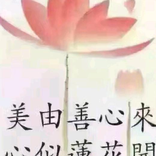 枫叶🍎🍎