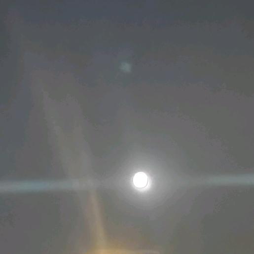 不将世故系情怀