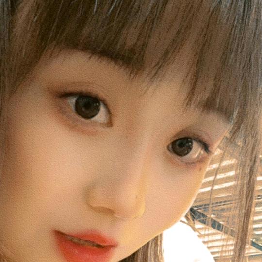 燕子《橱窗好物》🎀