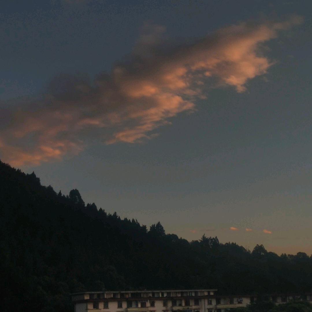 阳