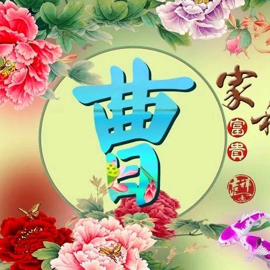 曹红梅