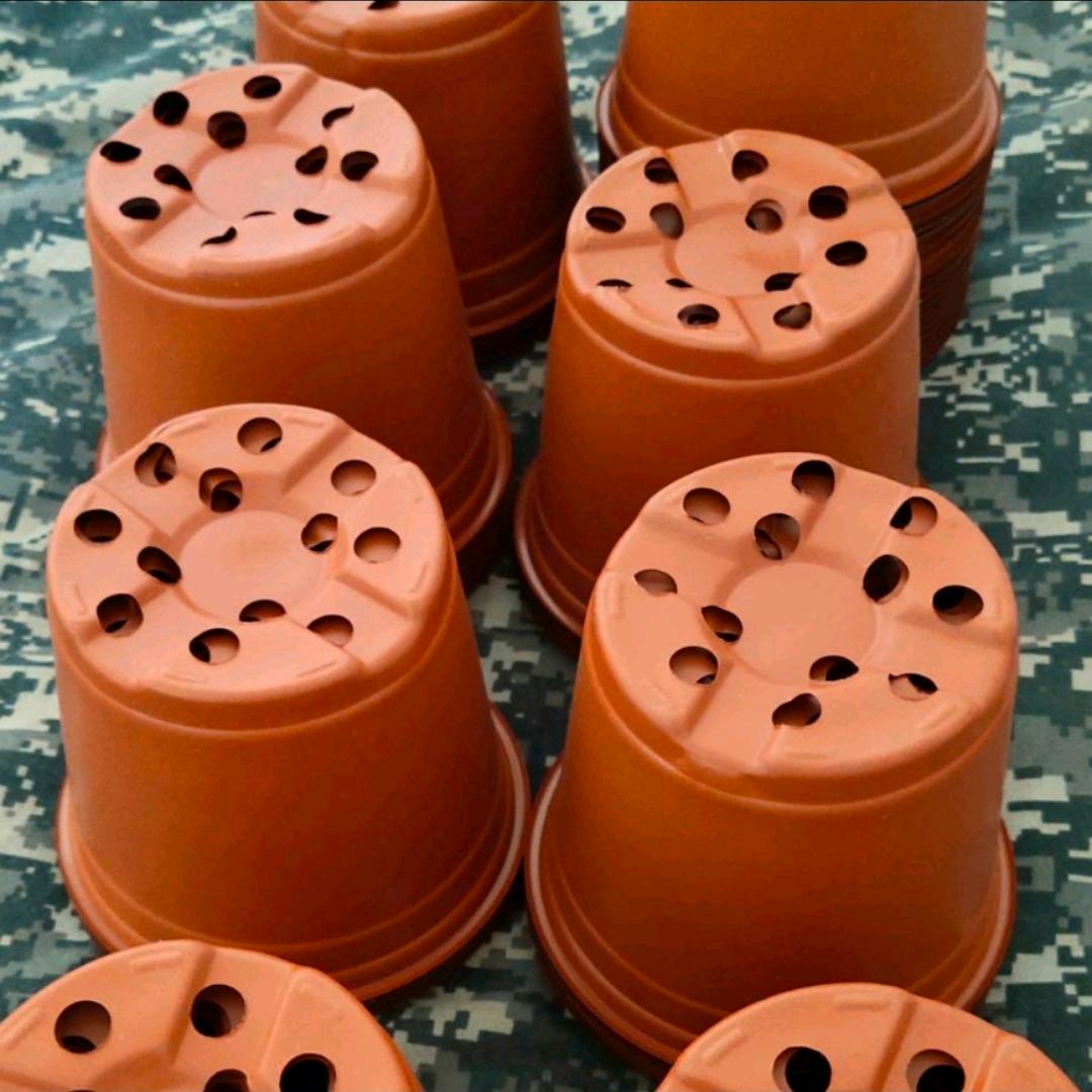 双色花盆（诚信共赢）