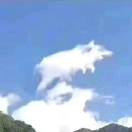 重生