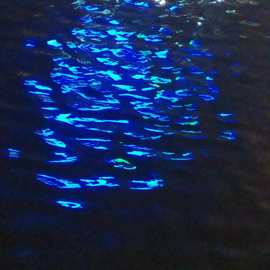 爱生活
