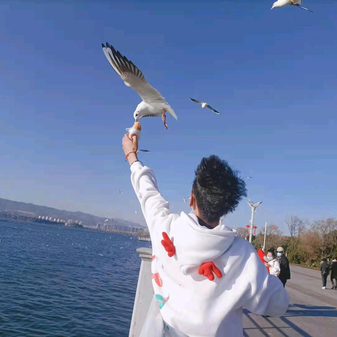沈🐴是快👑乐星🏀