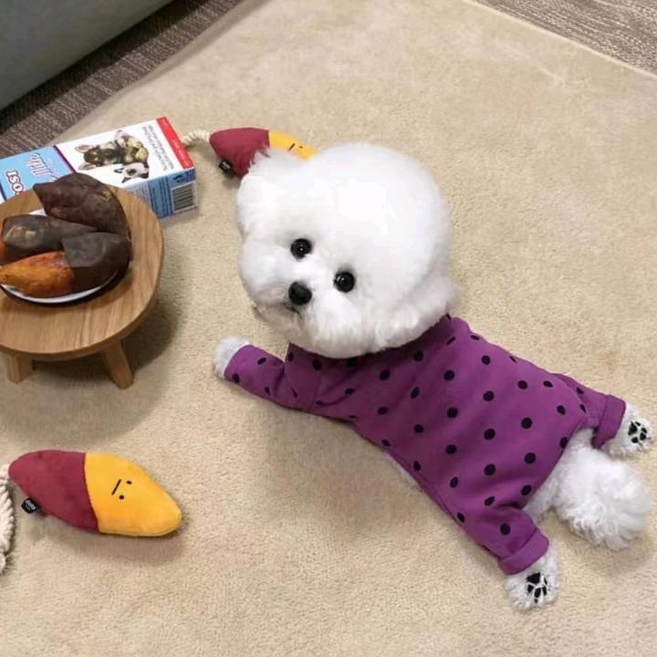 用户向往的生活