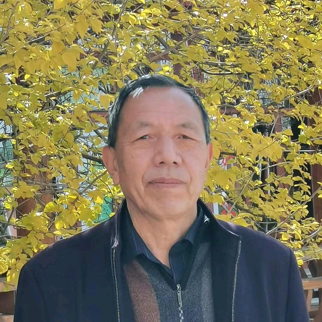 老马啊