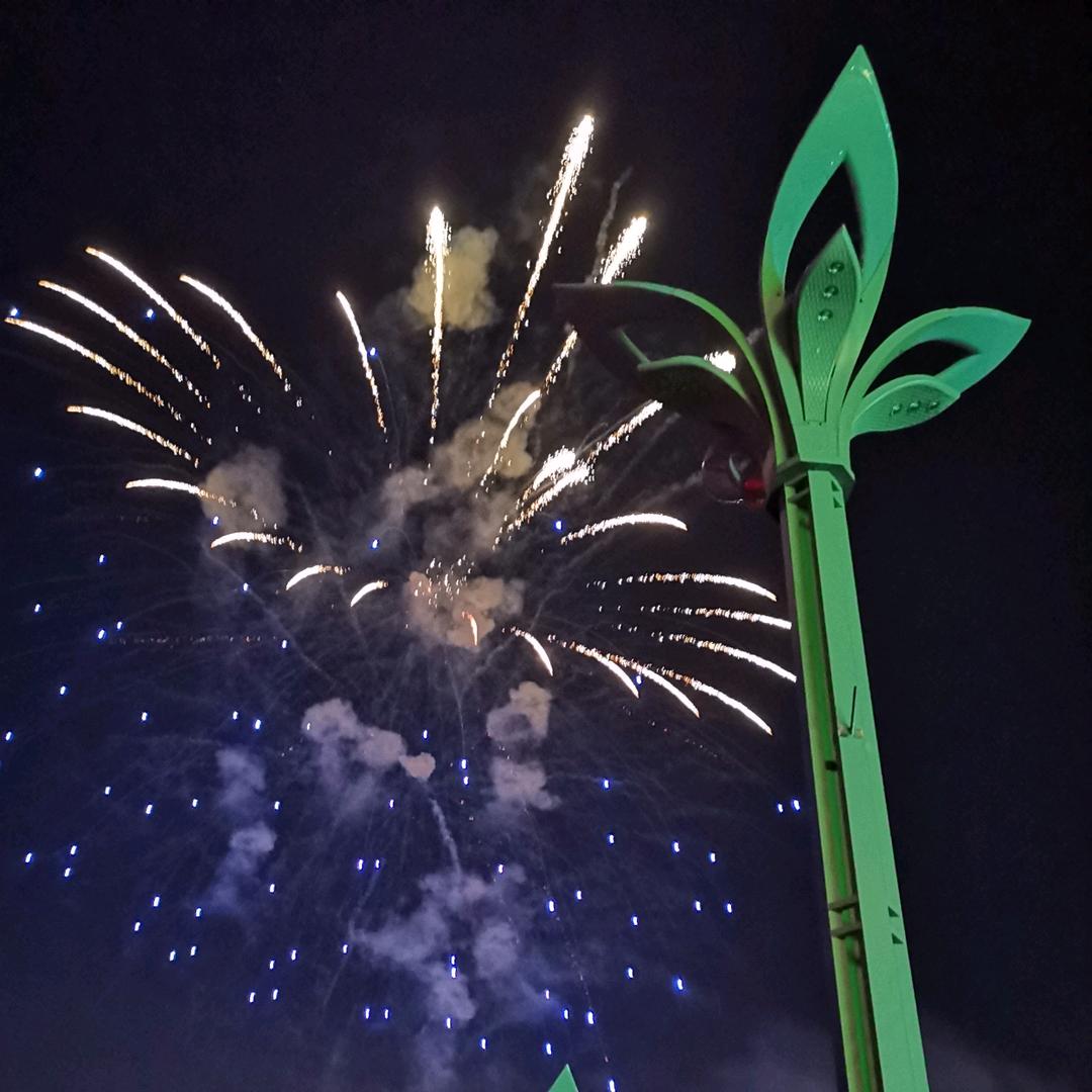 惊奇世界（经典影视）