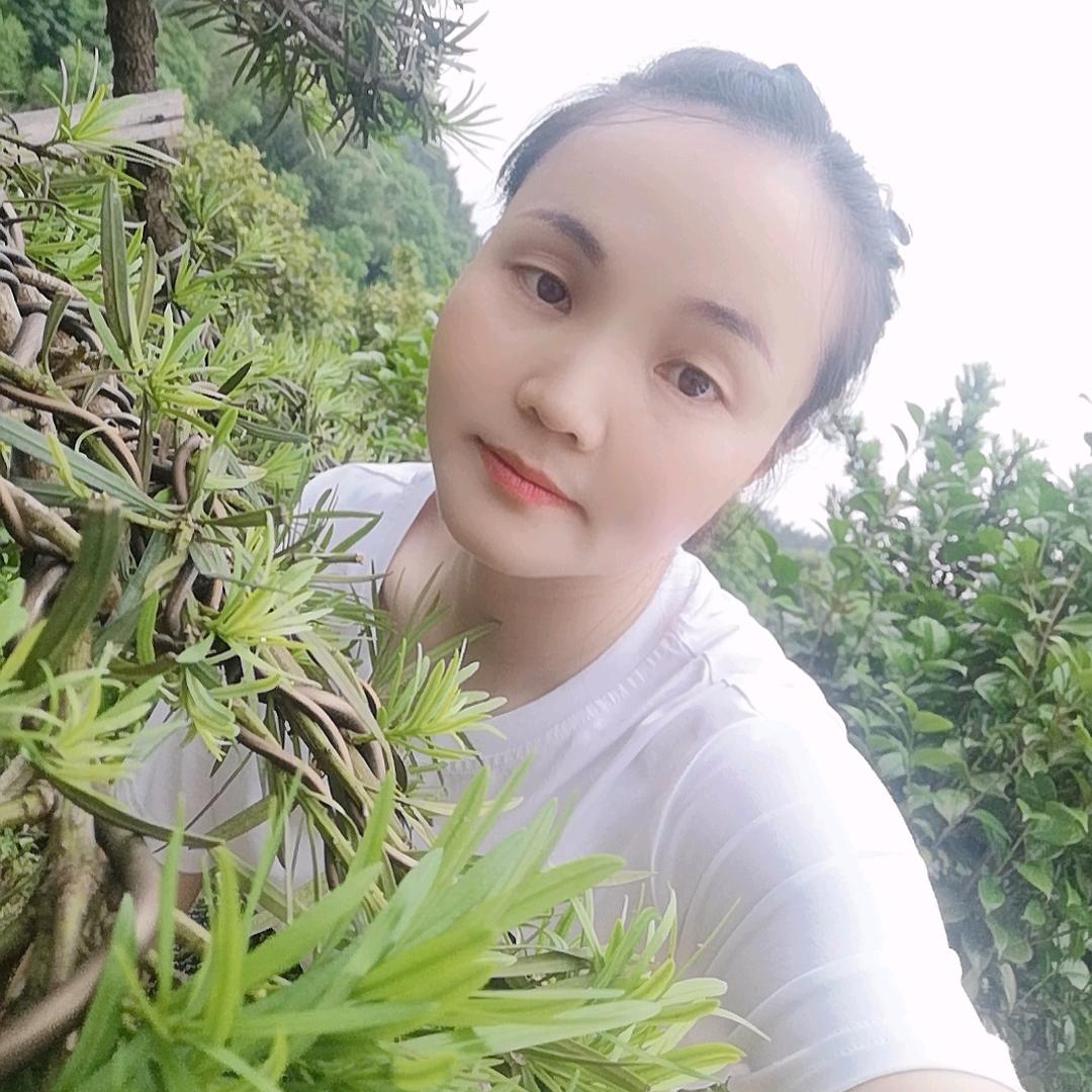 诺贝尔瓷砖小叶