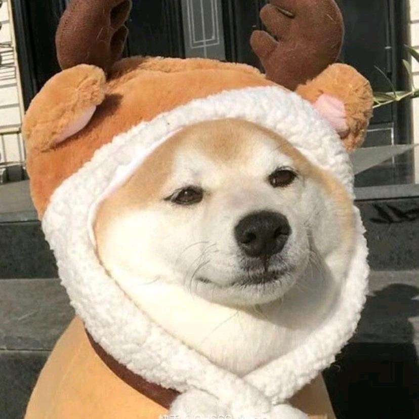 故淮淮淮_