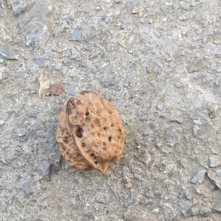 命中注定