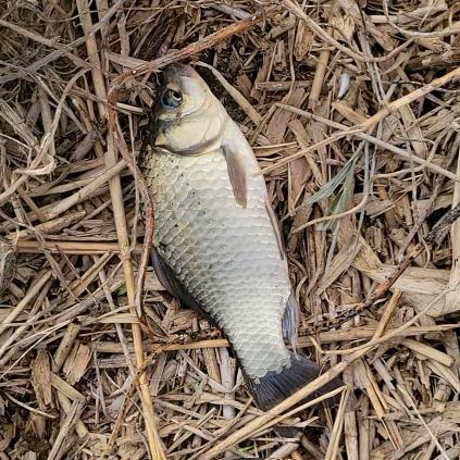 户外🎣阿兵