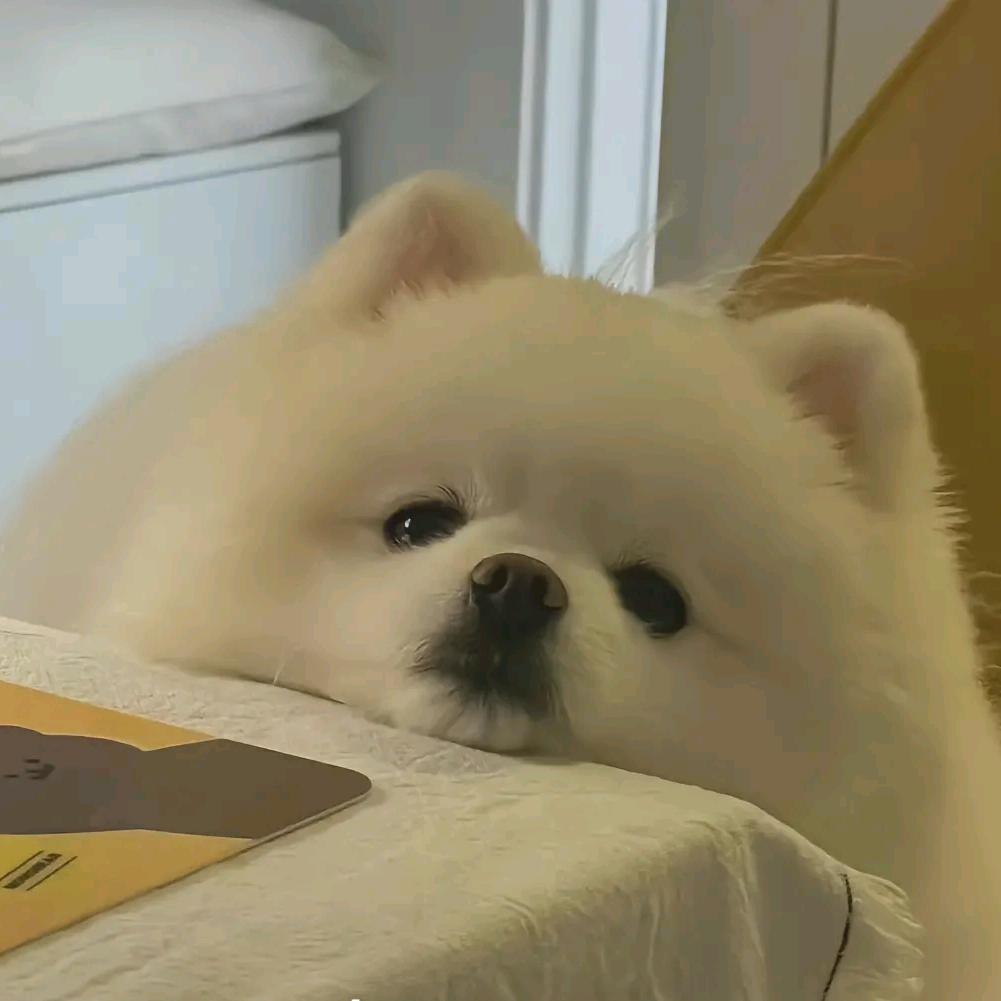 家有儿女（拒绝私聊）