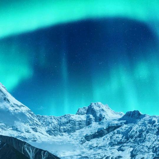 专业做内外墙粉刷的