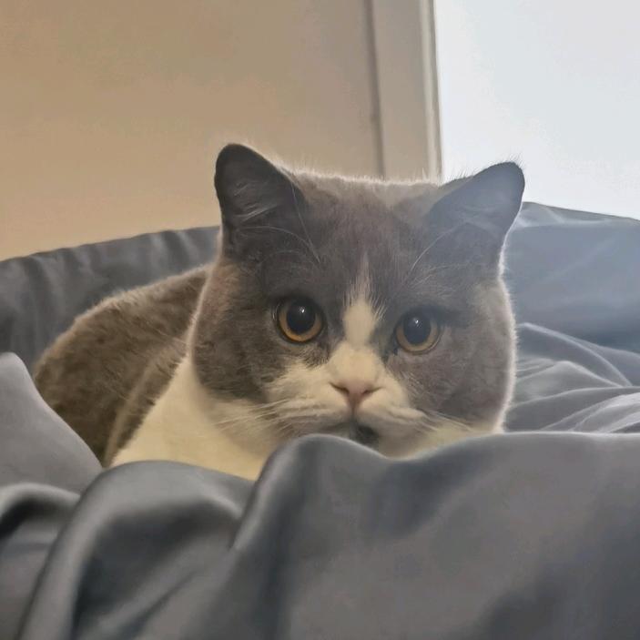 77主机游戏娱乐