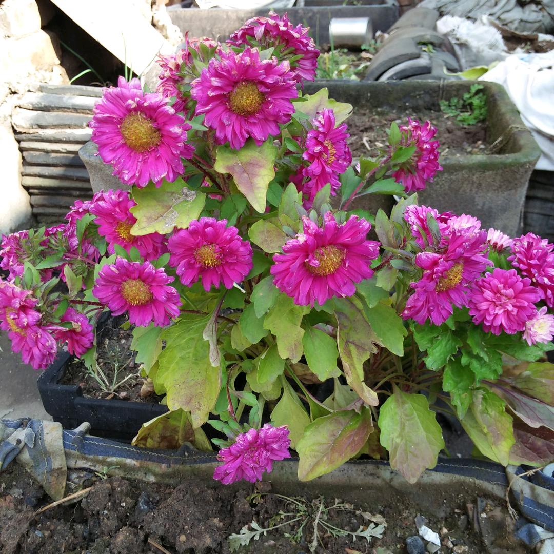 快乐每一天👍👍