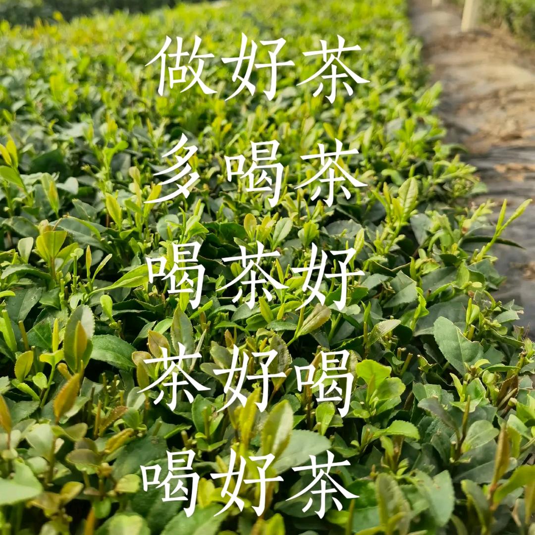 慈云