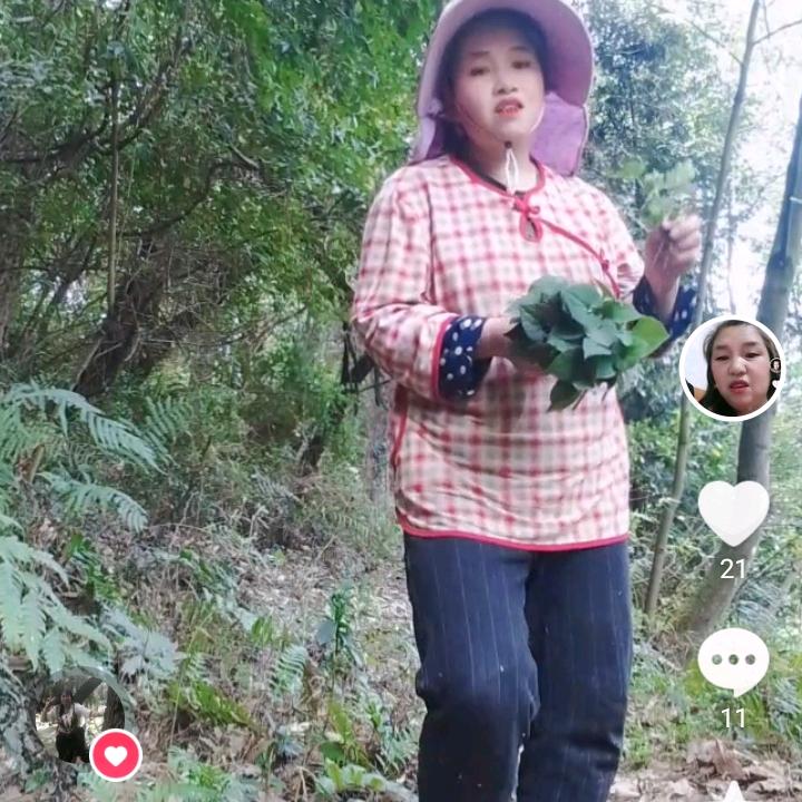 萍姐，下午1:30开播，开播时间，一三五