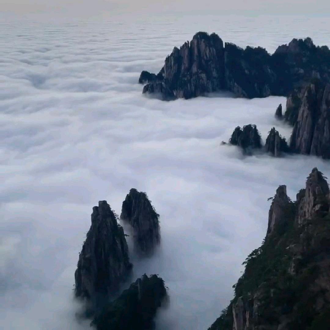 赵哥