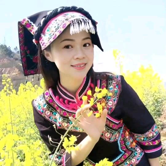 暖羊羊