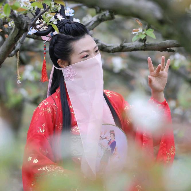 乐乐668