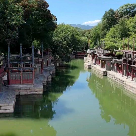 蓝色玫瑰