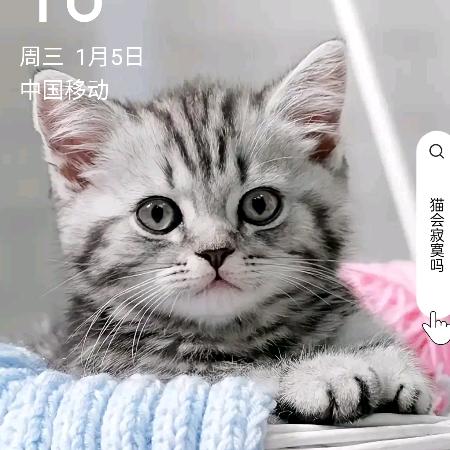 兵爸爸