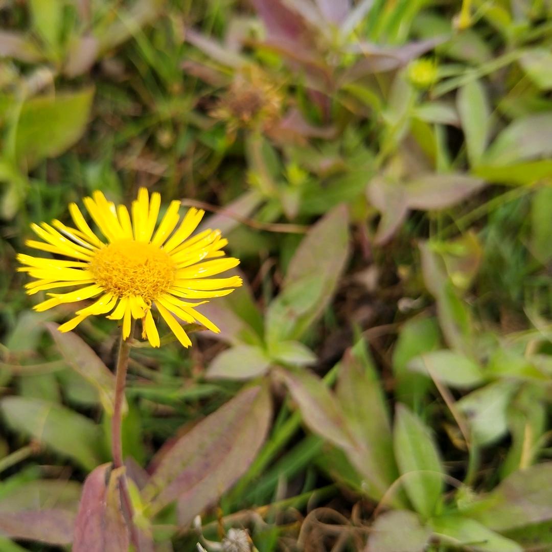 泗阳县原种场小范饭常菜餐饮店