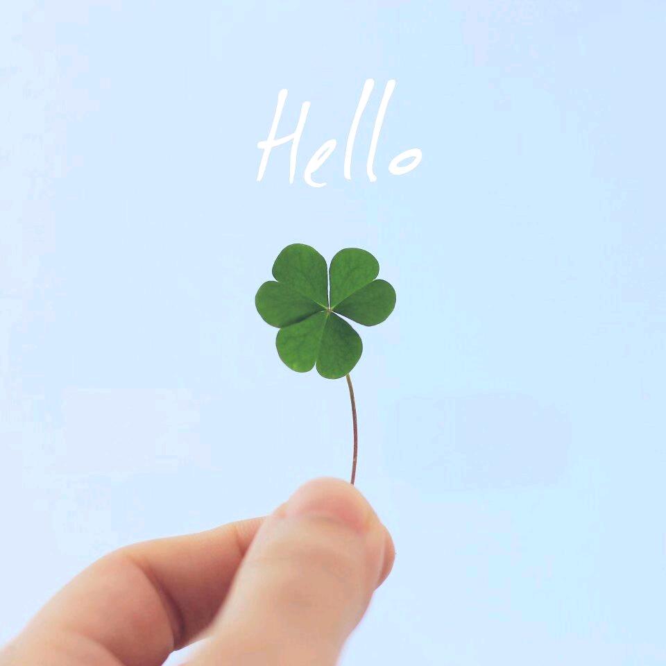 精医求精.还方于民