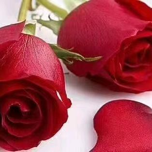 ꧁🌸沉默🌸꧂