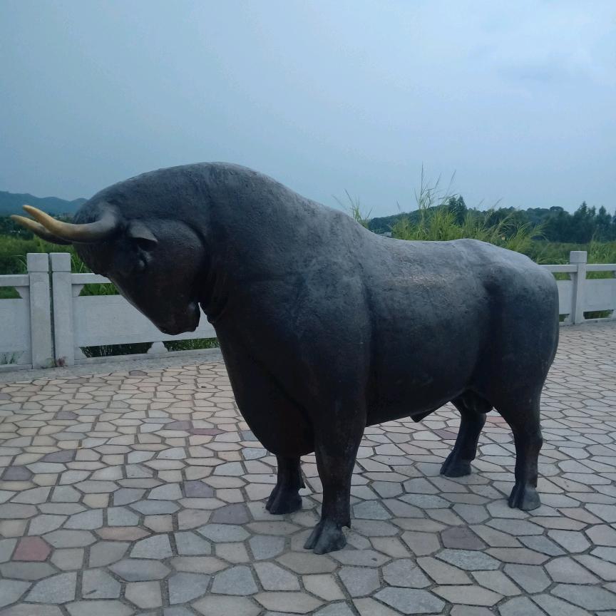 天涯共乐