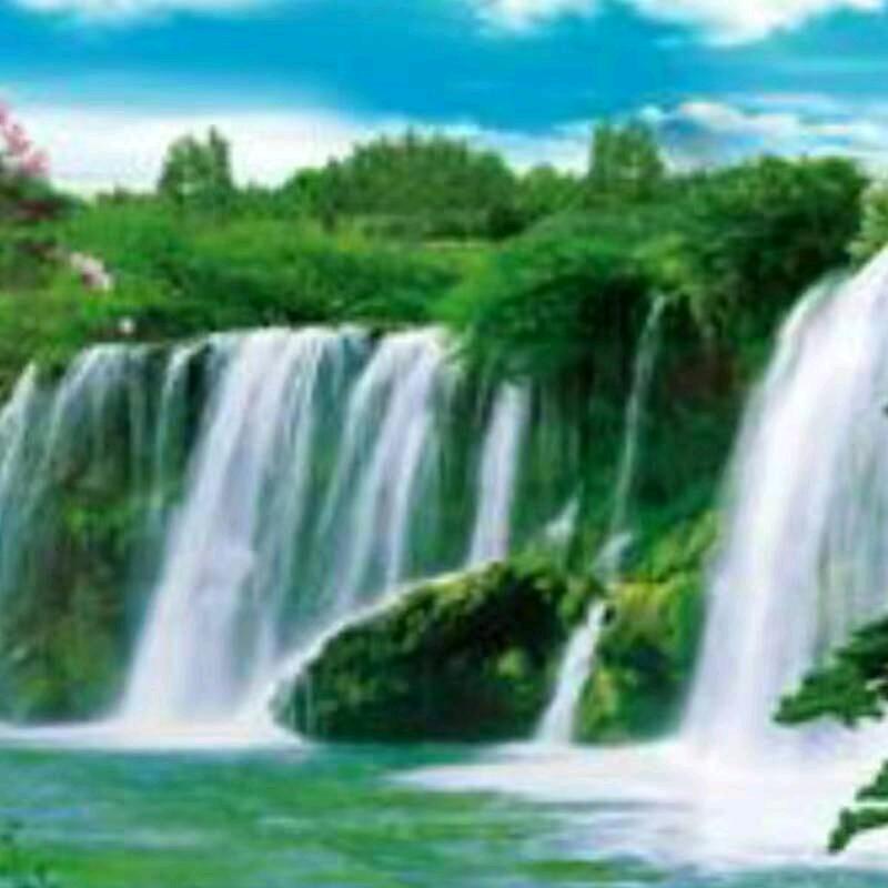 廂锶兩（黑鹰）