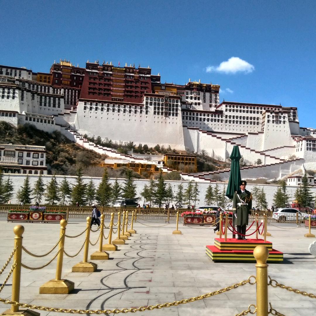 施主请留步🙏🙏🙏