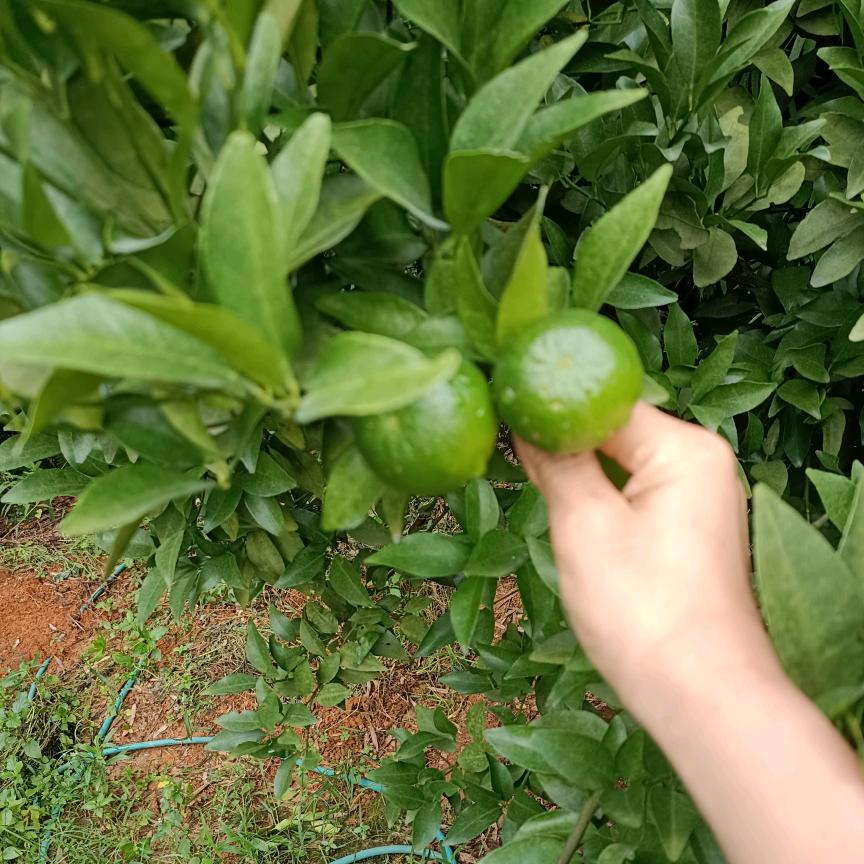 旺财好物分享