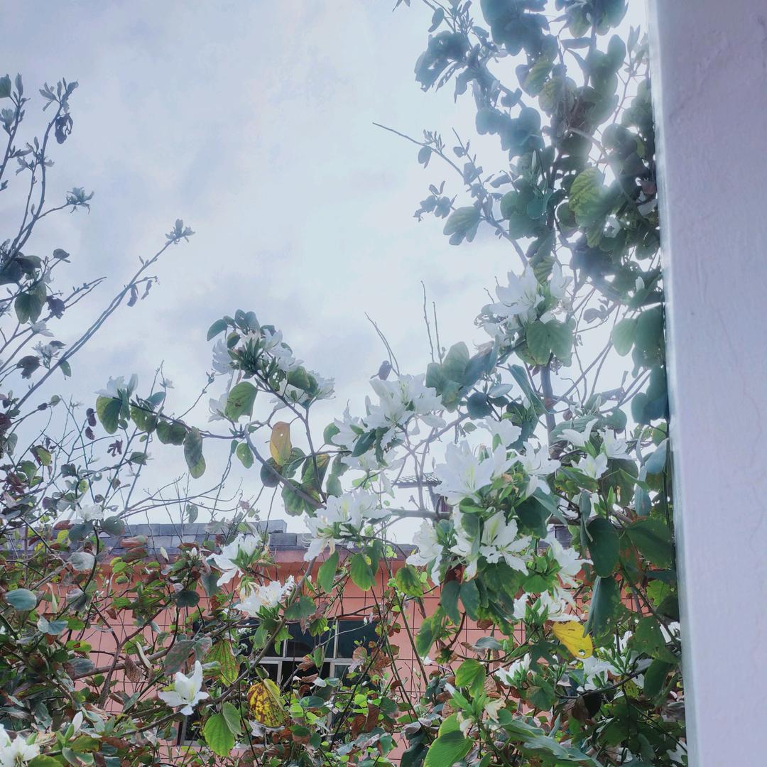 ල᭄💞幸福很简单♥