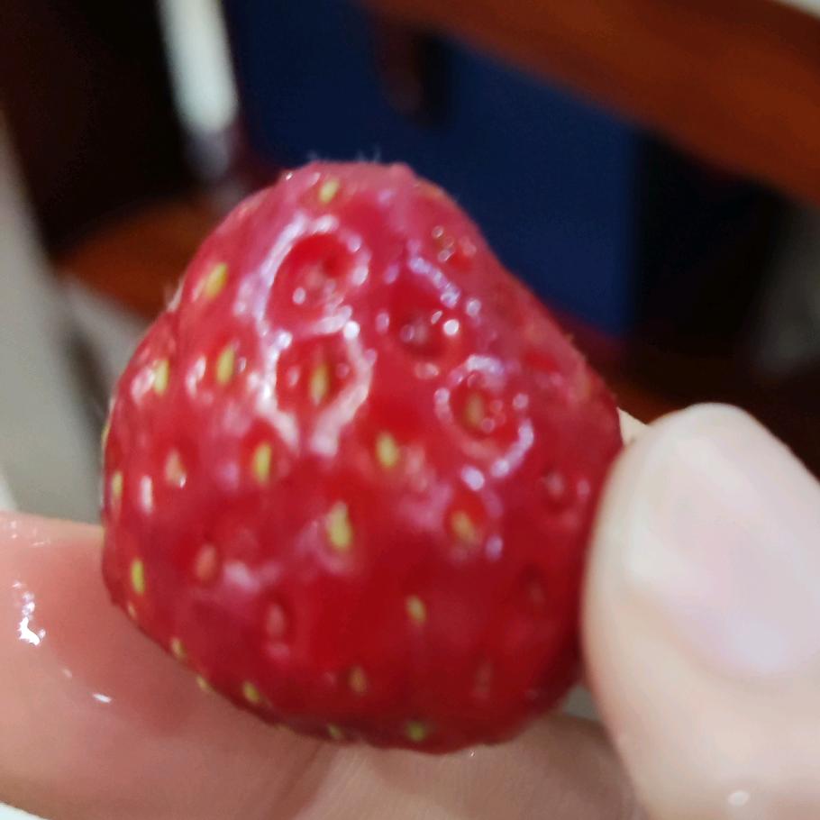 改名锦鲤求好运