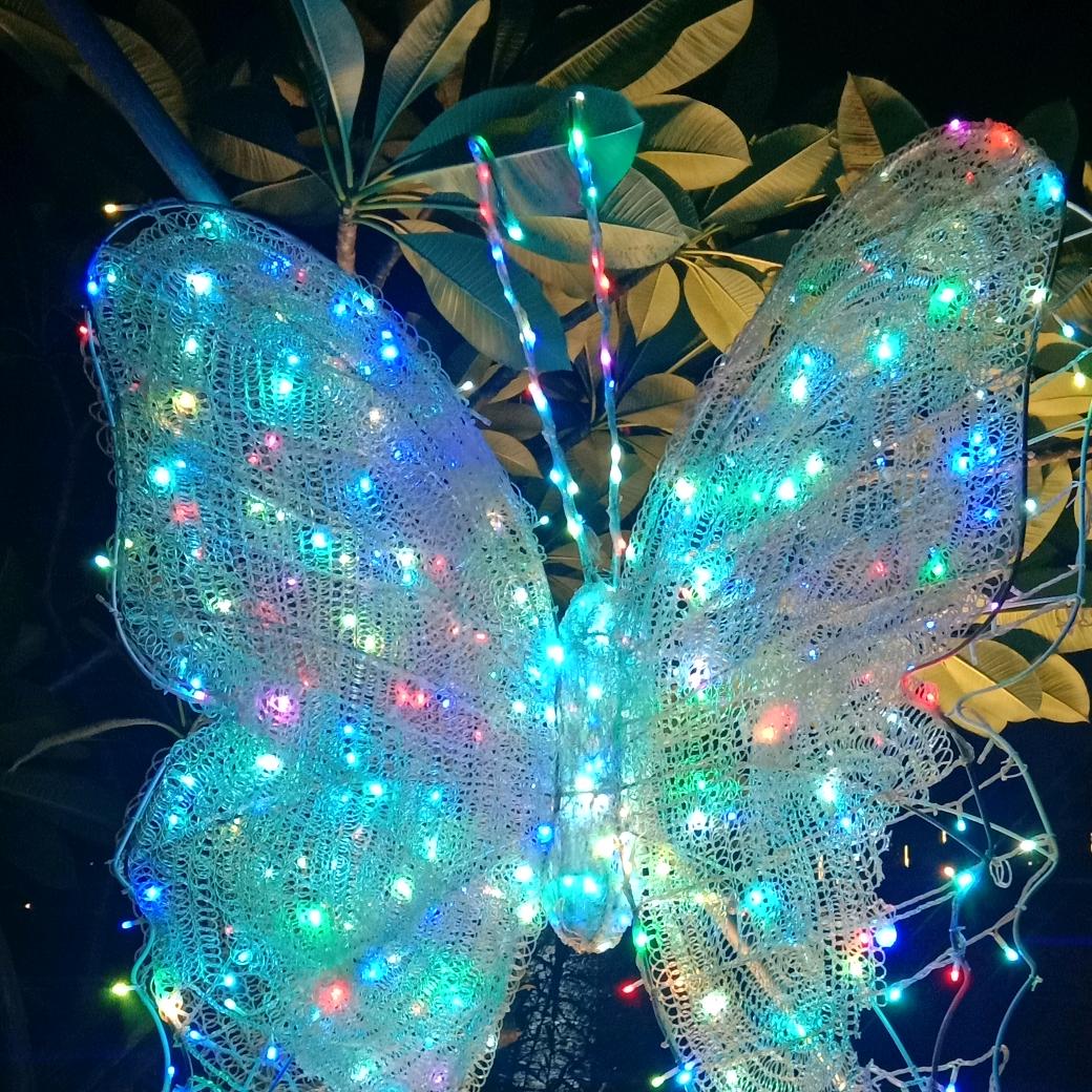 Dream彭梦梅