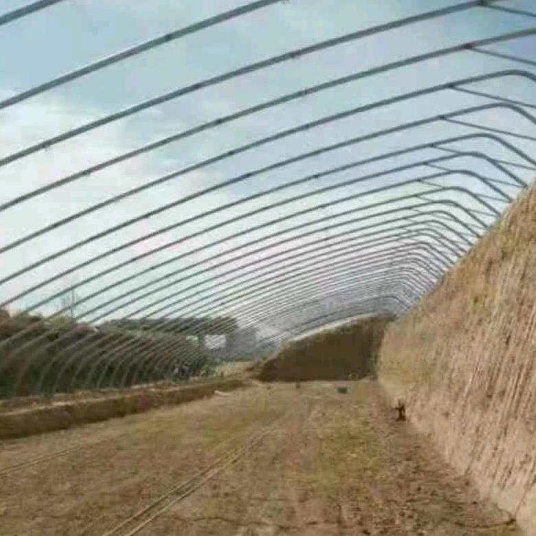 王永果蔬合作社