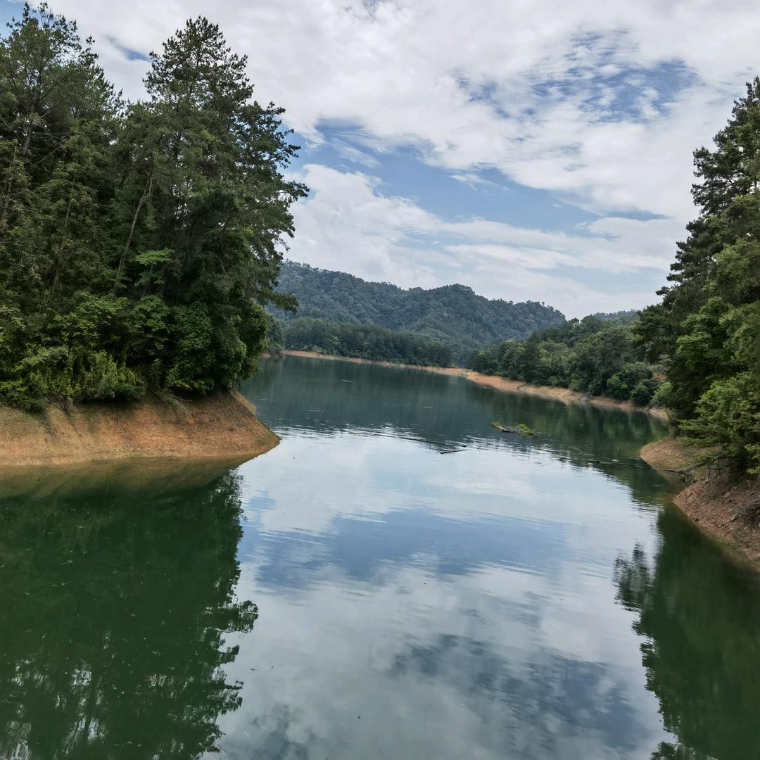 走走停停