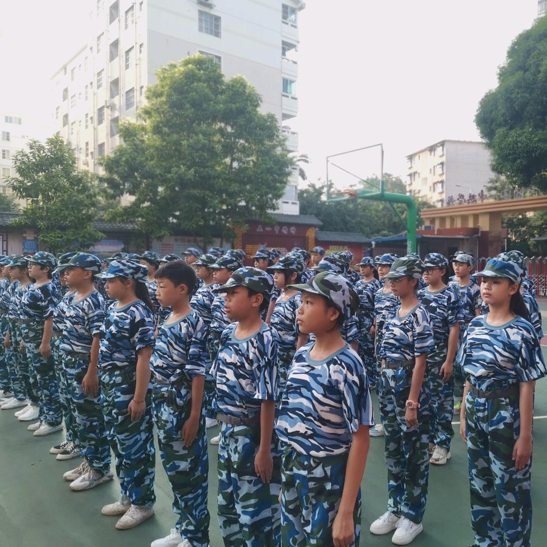芬姐美丽南方