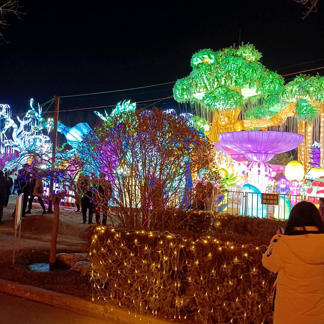 🍀一生好运🍀