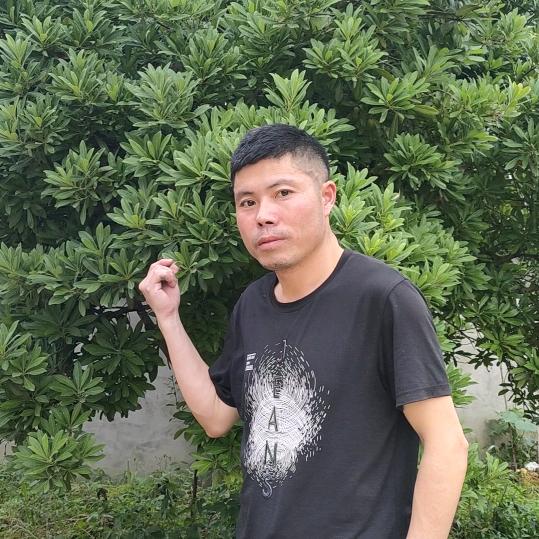 何时归来