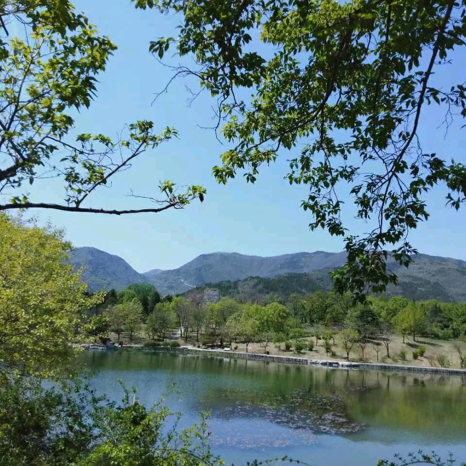 感恩遇见（9200）