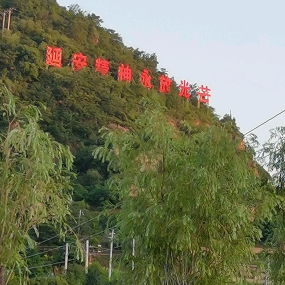 香烟到头终是灰👯