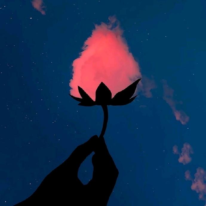 ༄༊࿆玄凤꧂