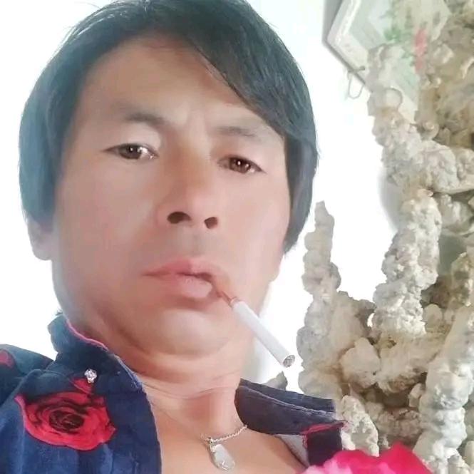 人生快乐,单身找爱人,卖野花盆景