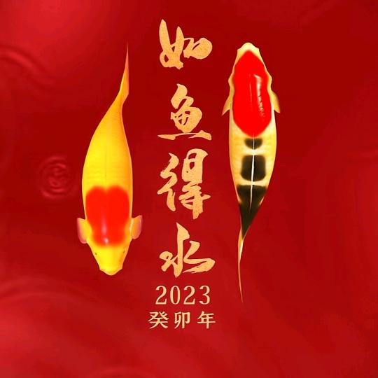 盛世福康