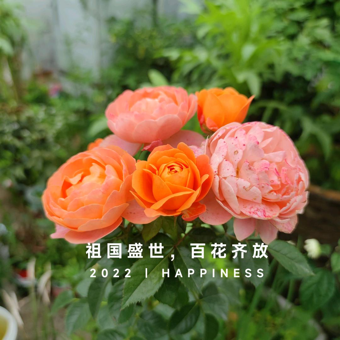 在意中国头像